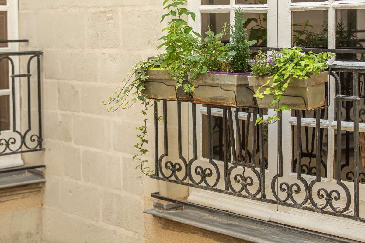 Mur en pierre, tuffeau, garde-corps,  jardinière bac fleuri